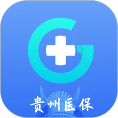 贵州省医保服务平台游戏截图
