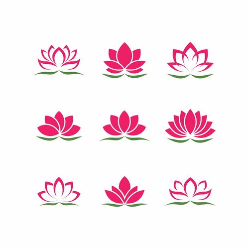 荷花直播免费版游戏截图