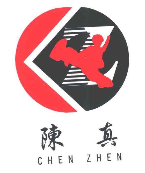 陈真后传缩略图