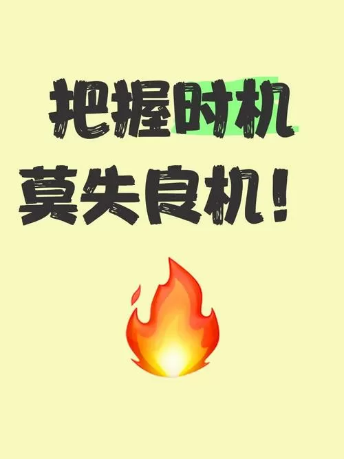 时机的正确解释游戏截图