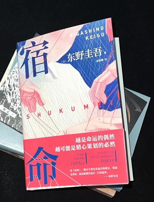 宿命论2汉化版完整版缩略图