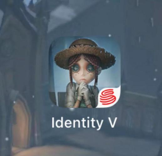 第五人格画质图标
