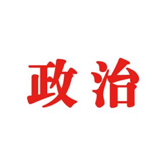 真实政治破解版缩略图