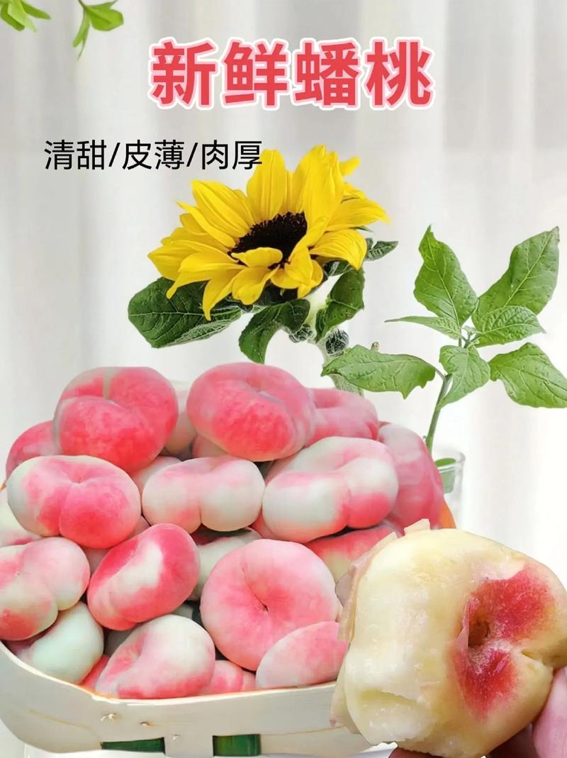 小蟠桃转发文章赚钱下载永久免更新缩略图