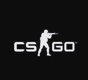 csgo单机版下载纯净无广告版缩略图