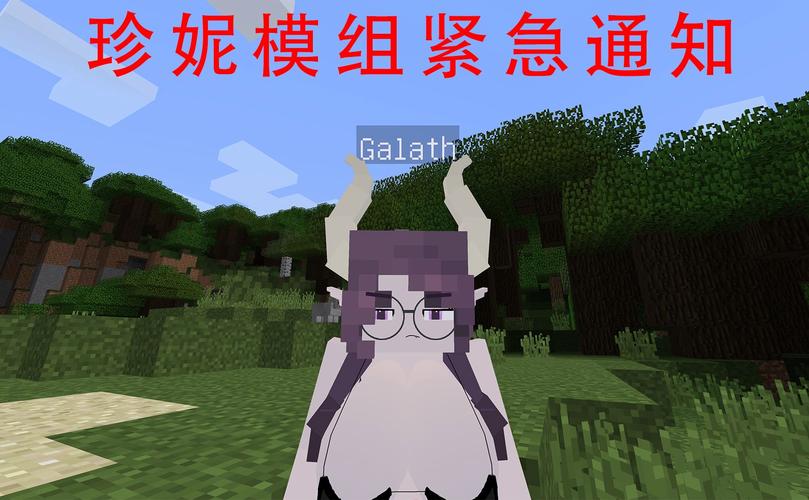 我的世界珍妮模组无遮挡 翔飞下载缩略图