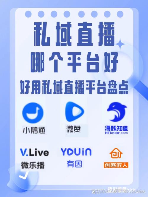 成品网站免费直播有哪些平台推荐破解无限配额缩略图