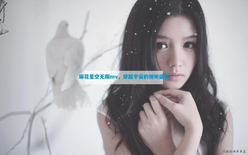 星空无痕mv免费观看麻花影视破解版无需登录游戏截图