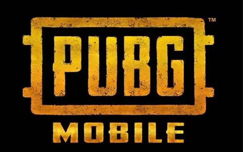 pubg鬼头直装辅助中文版游戏截图