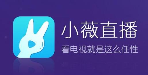 小微tv直播口令缩略图
