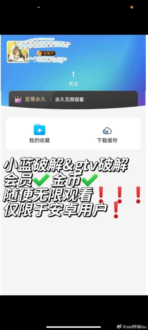 小蓝破解版卡密永久vip版缩略图