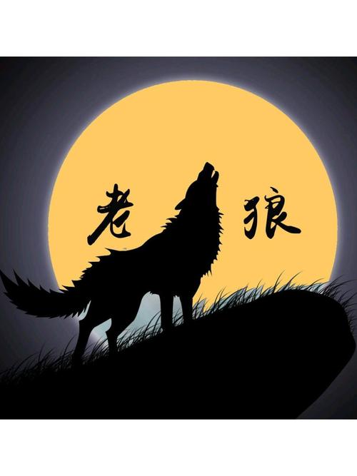 继续播放老狼电影在线观看缩略图