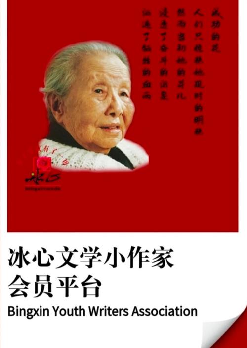 冰心框架缩略图