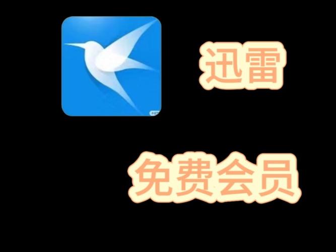 迅雷破解版vip安卓无广告缩略图