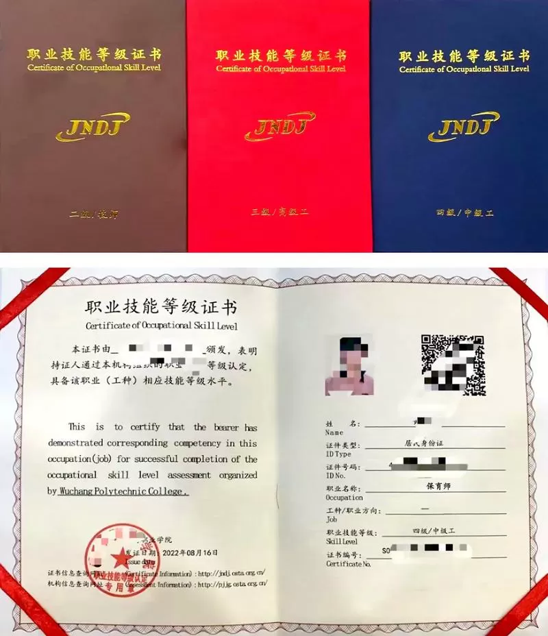 保育员证书电子版查询缩略图