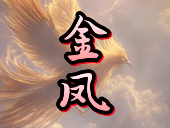 金凤直播缩略图