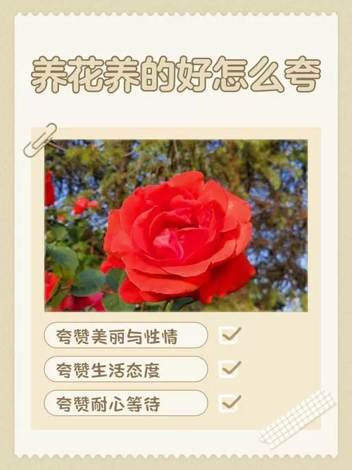 别人夸你养的花漂亮怎么幽默回答缩略图