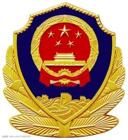 河南省公安厅便民服务平台游戏截图