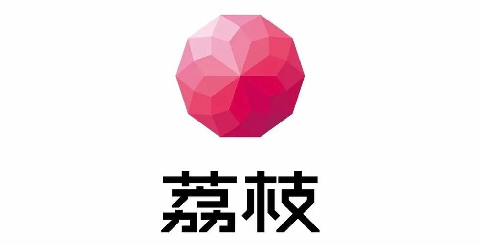 荔枝加速器2023缩略图
