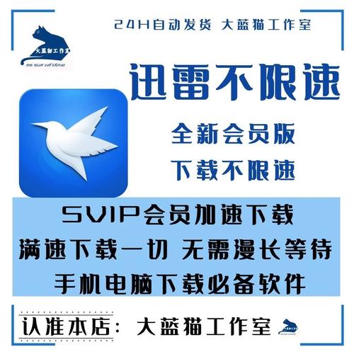迅雷无限速破解版安卓无广告版游戏截图