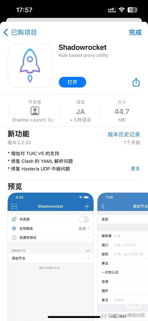 火箭npa加速器破解版安卓版中文版修改版无限次数缩略图