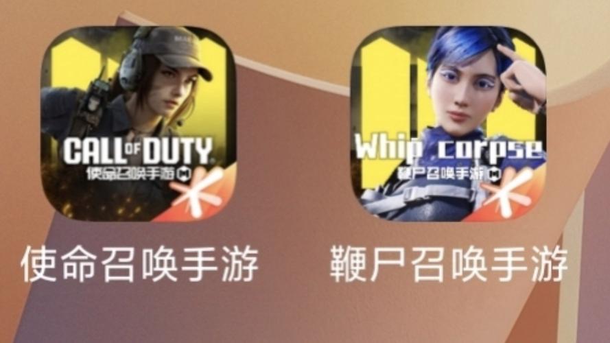 灰灰codm美化包破解版游戏截图