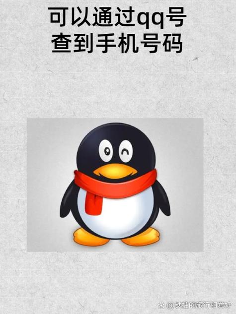 一个手机号码可以绑定多少个QQ仲夏版缩略图