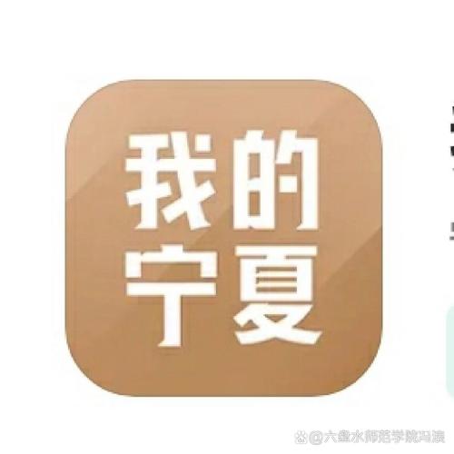 我的宁夏安装专业版游戏截图