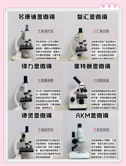 显微镜和电子显微镜有什么区别缩略图