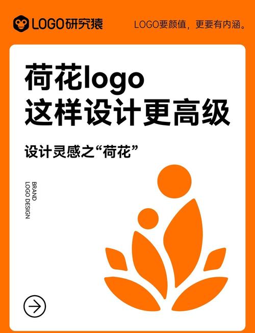 荷花转赚钱缩略图