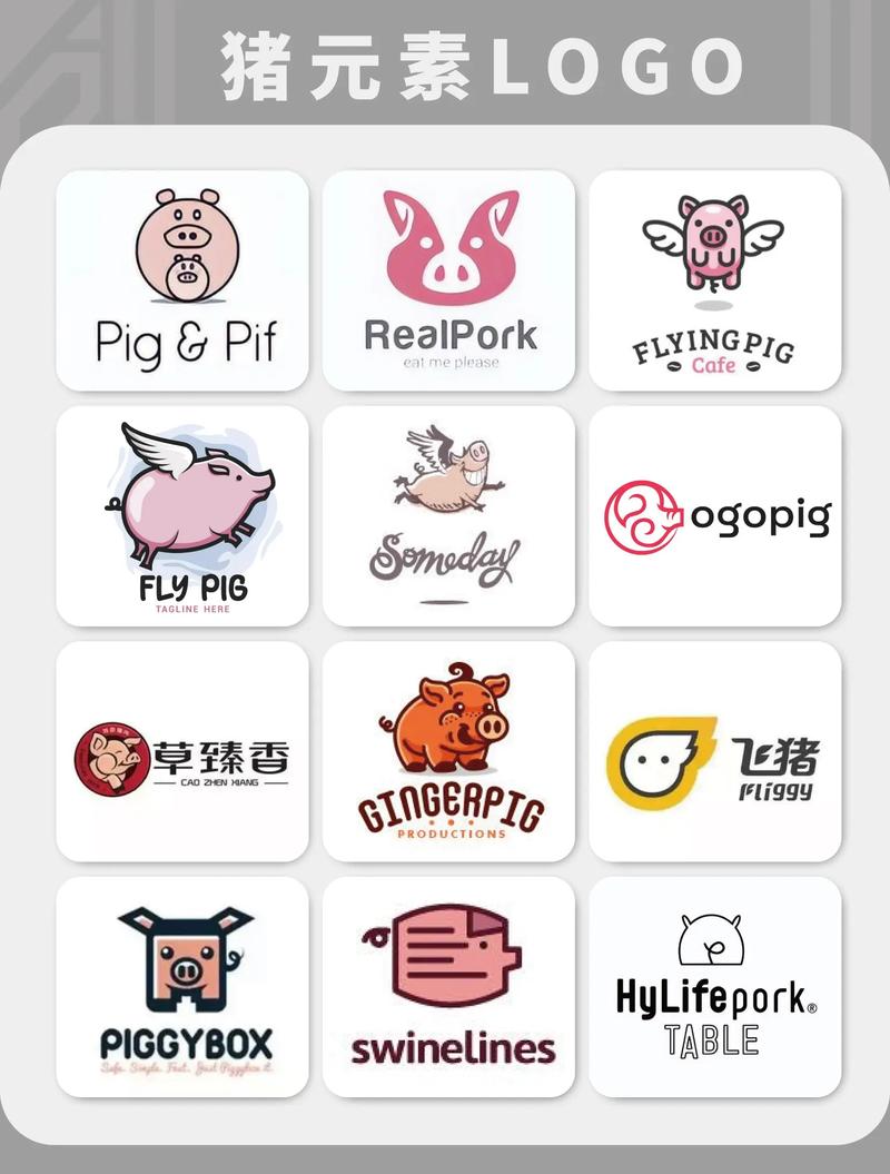 猪猪分红