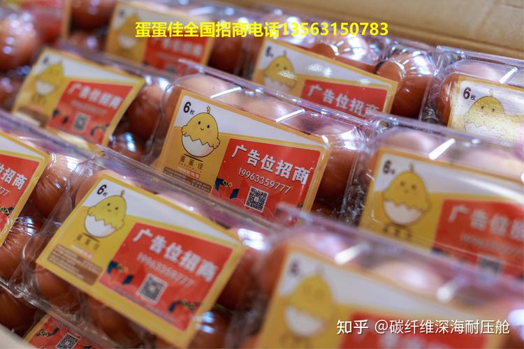 蛋蛋佳赚钱缩略图