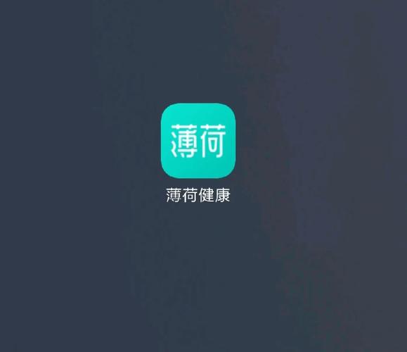薄荷用户平台赚钱缩略图