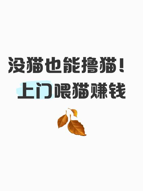 天天撸猫养猫赚钱缩略图