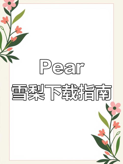 台湾pear雪梨缩略图