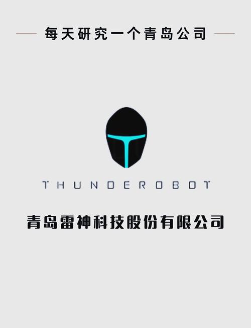 雷神代刷网缩略图