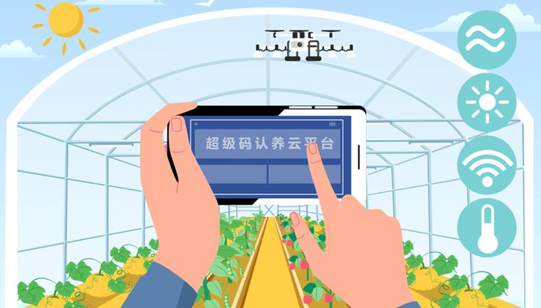 云养鸡区块链安卓缩略图