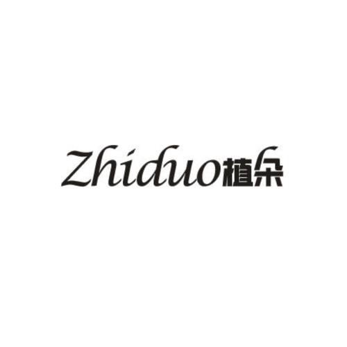 树朵朵种植赚钱缩略图