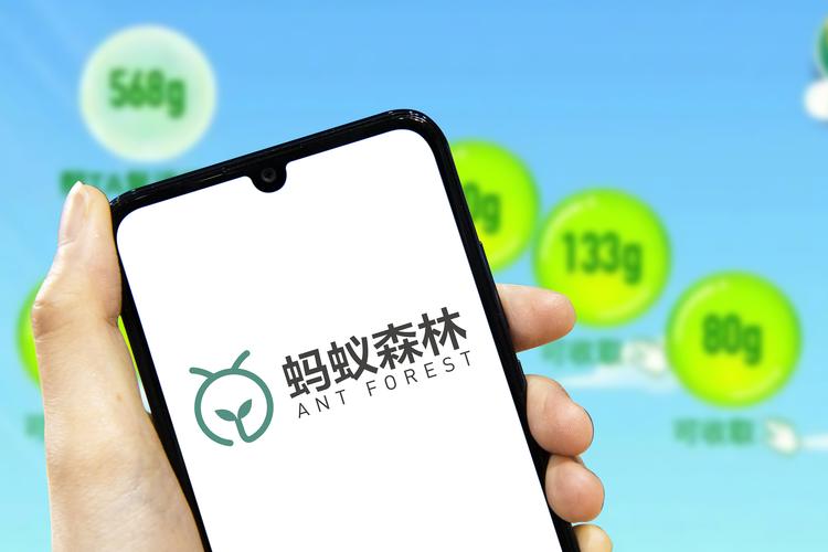 蚂蚁森林走路赚钱缩略图