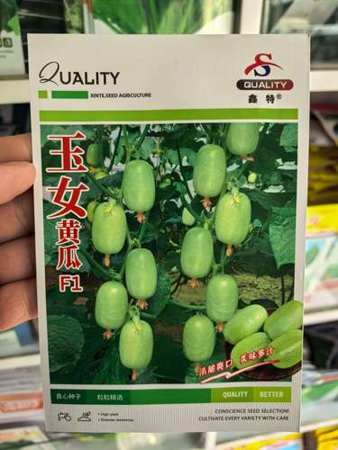 黄瓜兼职手机版缩略图