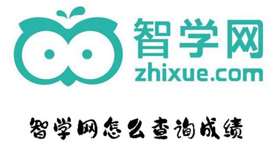 智学网成绩查询登缩略图