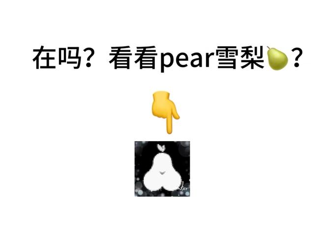 雪梨pear(邀请码)缩略图