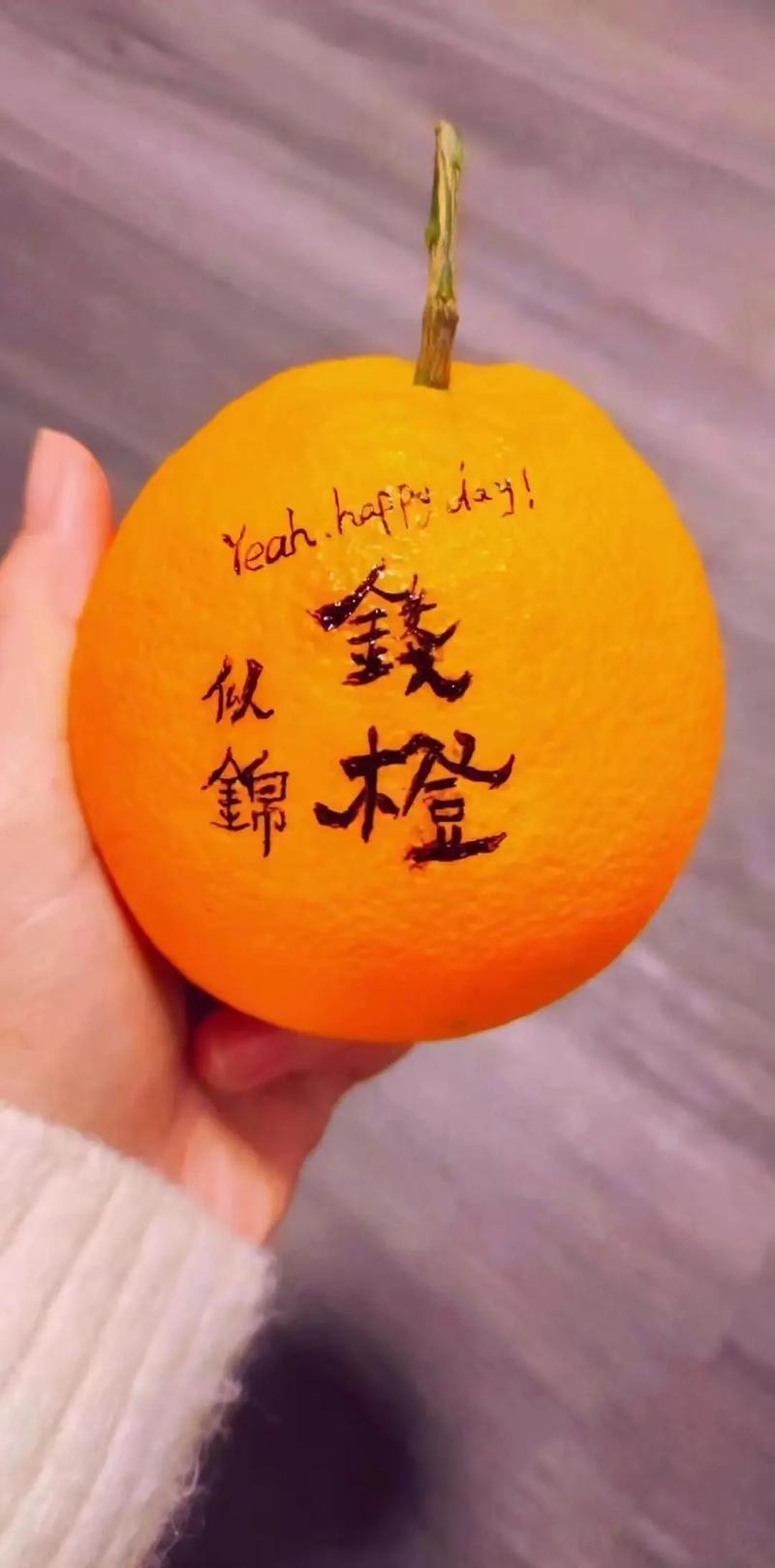 橙赚赚钱版202缩略图