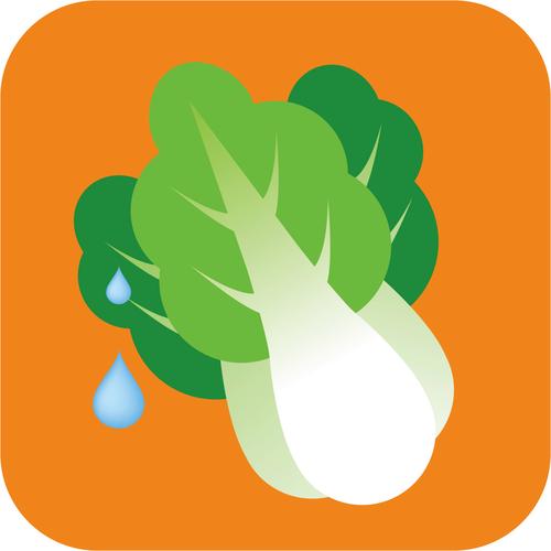 蔬菜大亨破解版缩略图