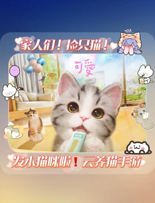 创富猫养猫游戏最缩略图