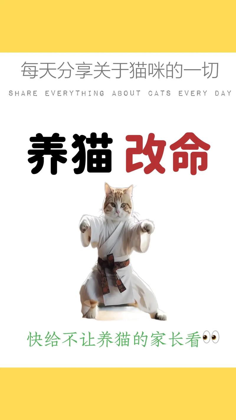 天天养猫猫养猫赚缩略图