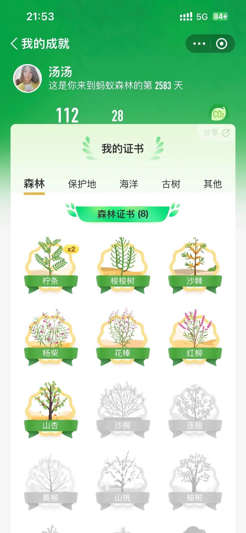 树朵朵种树赚钱安缩略图