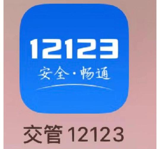 12123交管2024最新版下载游戏截图