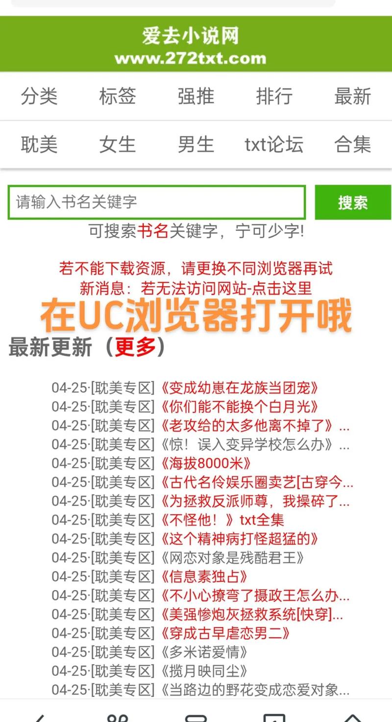 成品小说网站入口网页版怎样打开
