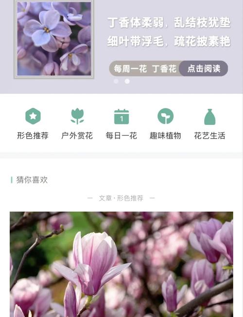 花色app缩略图